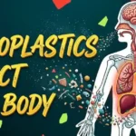 3 Surprising Ways Microplastics Can Enter Your Body (And How to Stop Them)