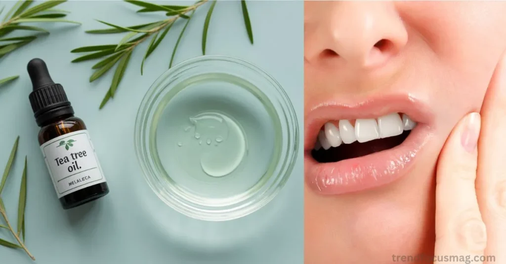 Strongest Natural Antibiotic for Tooth Infection Tea Tree Oil
