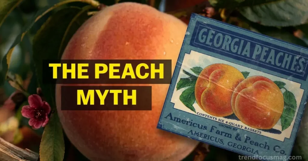 The Biggest Peach Myth in America: The Peach State Mystery